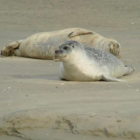 Apartment Le Voyageur A La Vue *